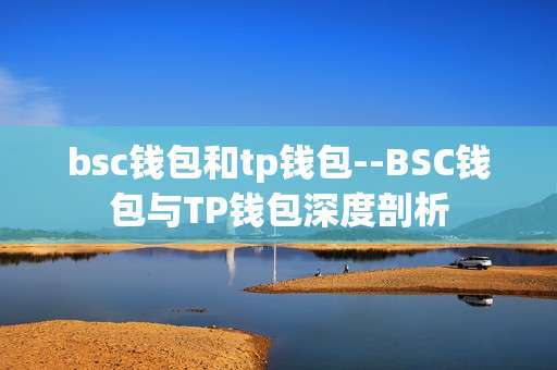 bsc钱包和tp钱包--BSC钱包与TP钱包深度剖析