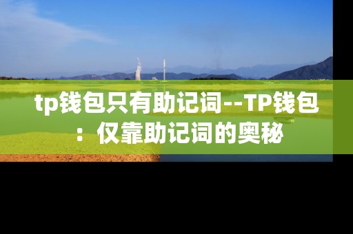tp钱包只有助记词--TP钱包：仅靠助记词的奥秘