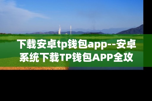 下载安卓tp钱包app--安卓系统下载TP钱包APP全攻略
