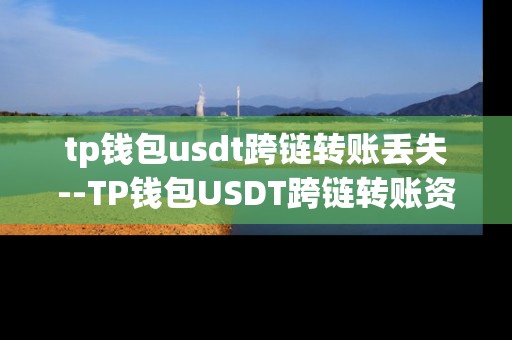 tp钱包usdt跨链转账丢失--TP钱包USDT跨链转账资金莫名丢失解析