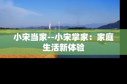 小宋当家--小宋掌家：家庭生活新体验