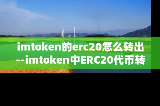imtoken的erc20怎么转出--imtoken中ERC20代币转出操作全解析