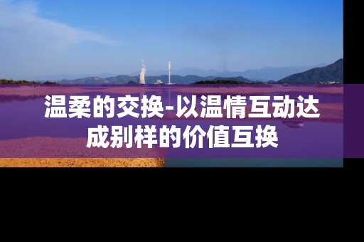 温柔的交换-以温情互动达成别样的价值互换