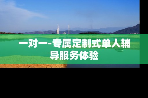一对一-专属定制式单人辅导服务体验 一对一-专属定制式单人辅导服务体验