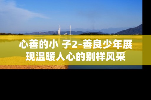 心善的小 子2-善良少年展现温暖人心的别样风采
