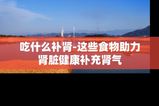 吃什么补肾-这些食物助力肾脏健康补充肾气