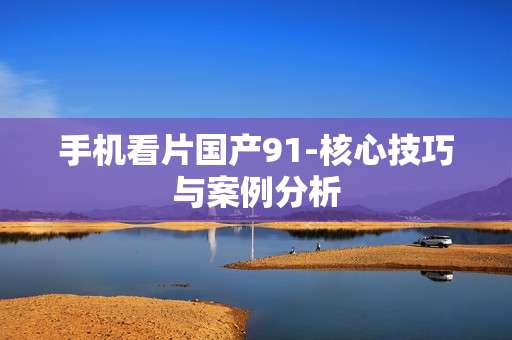 手机看片国产91-核心技巧与案例分析