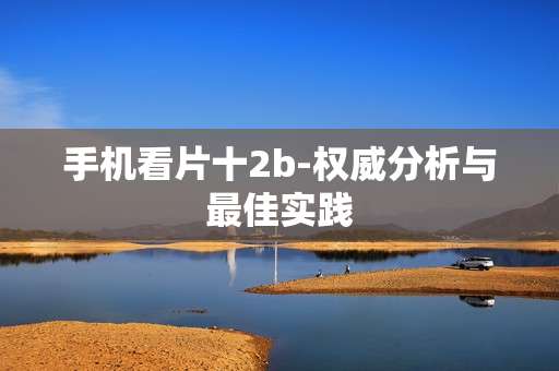 手机看片十2b-权威分析与最佳实践