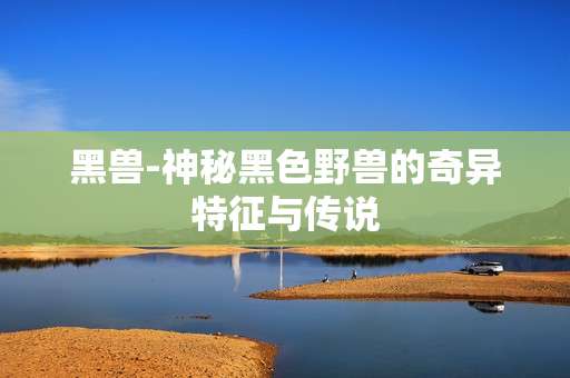 黑兽-神秘黑色野兽的奇异特征与传说