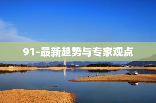 91-最新趋势与专家观点