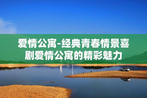 爱情公寓-经典青春情景喜剧爱情公寓的精彩魅力