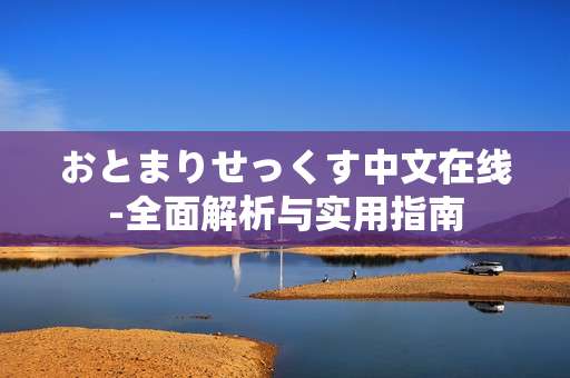 おとまりせっくす中文在线-全面解析与实用指南