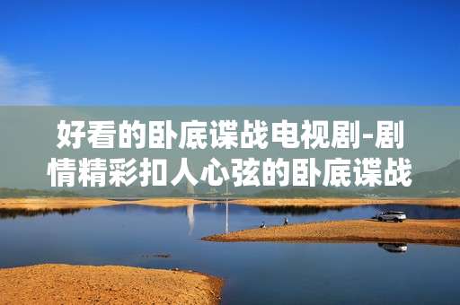 好看的卧底谍战电视剧-剧情精彩扣人心弦的卧底谍战剧集