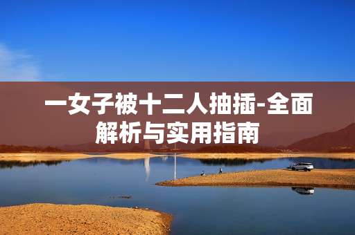 一女子被十二人抽插-全面解析与实用指南