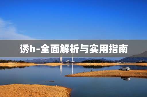 诱h-全面解析与实用指南