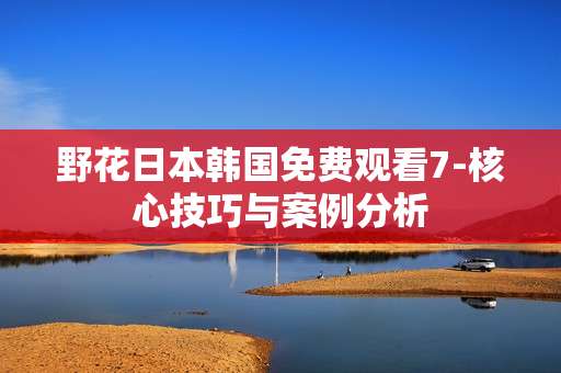 野花日本韩国免费观看7-核心技巧与案例分析