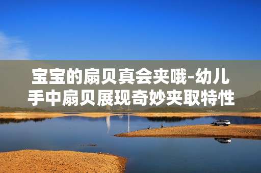宝宝的扇贝真会夹哦-幼儿手中扇贝展现奇妙夹取特性