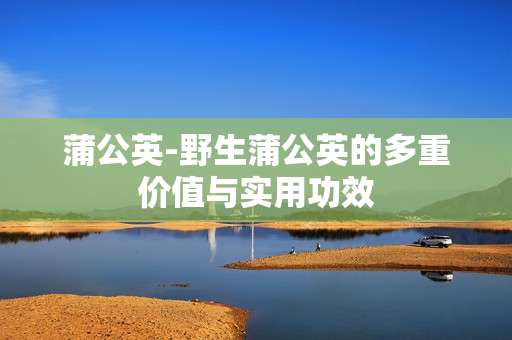 蒲公英-野生蒲公英的多重价值与实用功效