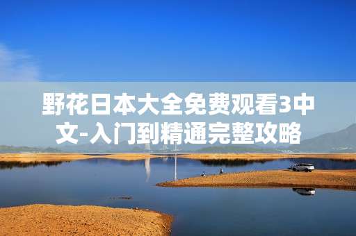野花日本大全免费观看3中文-入门到精通完整攻略