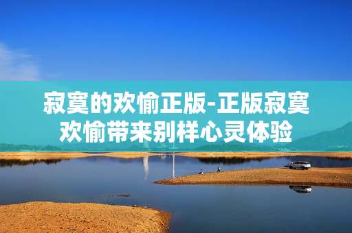 寂寞的欢愉正版-正版寂寞欢愉带来别样心灵体验