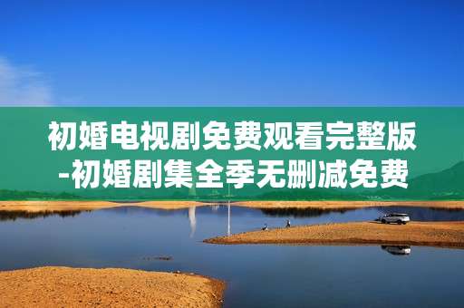 初婚电视剧免费观看完整版-初婚剧集全季无删减免费在线看