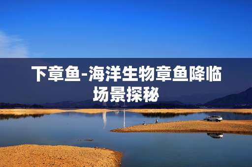 下章鱼-海洋生物章鱼降临场景探秘