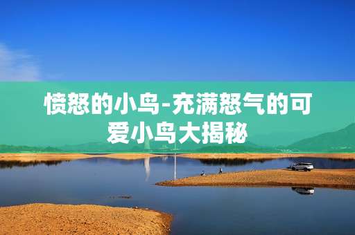 愤怒的小鸟-充满怒气的可爱小鸟大揭秘