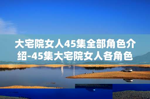 大宅院女人45集全部角色介绍-45集大宅院女人各角色详细信息揭秘
