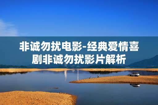 非诚勿扰电影-经典爱情喜剧非诚勿扰影片解析