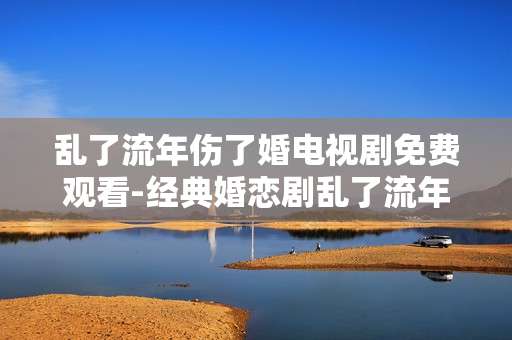 乱了流年伤了婚电视剧免费观看-经典婚恋剧乱了流年伤了婚在线免看