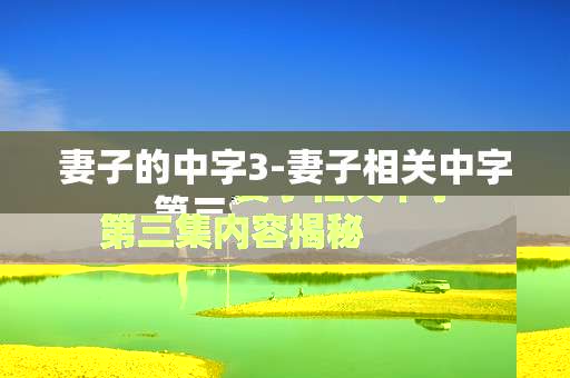妻子的中字3-妻子相关中字第三集内容揭秘