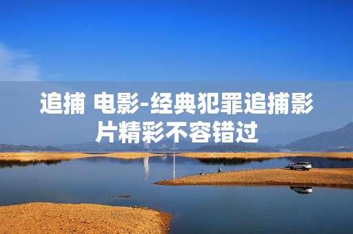 追捕 电影-经典犯罪追捕影片精彩不容错过