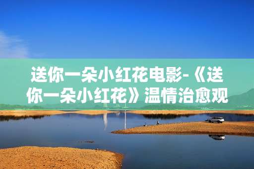 送你一朵小红花电影-《送你一朵小红花》温情治愈观影体验