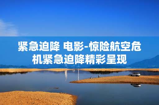 紧急迫降 电影-惊险航空危机紧急迫降精彩呈现