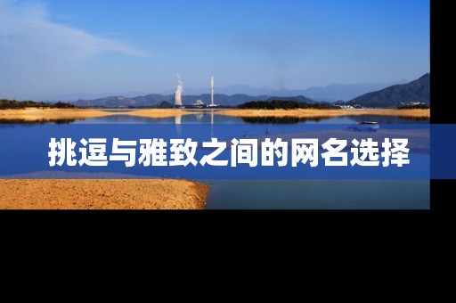 挑逗与雅致之间的网名选择 挑逗与雅致之间的网名选择