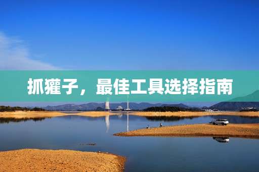 抓獾子,最佳工具选择指南 抓獾子,最佳工具选择指南