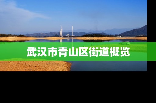 武汉市青山区街道概览 武汉市青山区街道概览