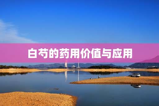 白芍的药用价值与应用