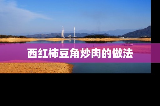 西红柿豆角炒肉的做法