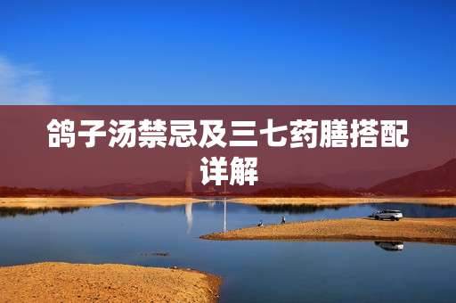 鸽子汤禁忌及三七药膳搭配详解