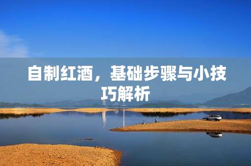 自制红酒，基础步骤与小技巧解析