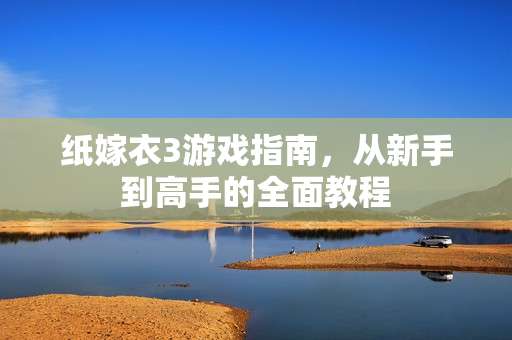 纸嫁衣3游戏指南，从新手到高手的全面教程