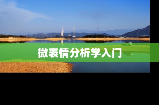 微表情分析学入门 微表情分析学入门