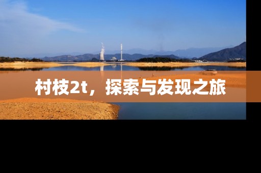 村枝2t，探索与发现之旅