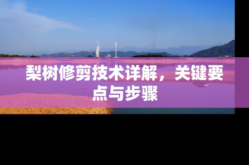 梨树修剪技术详解，关键要点与步骤