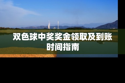 双色球中奖奖金领取及到账时间指南