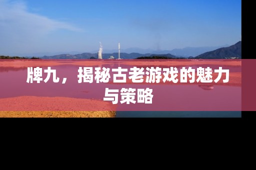 牌九，揭秘古老游戏的魅力与策略