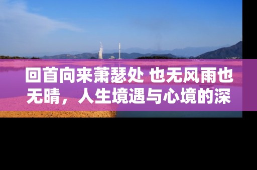 回首向来萧瑟处 也无风雨也无晴，人生境遇与心境的深刻反思