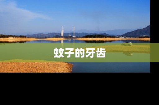 蚊子的牙齿 蚊子的牙齿