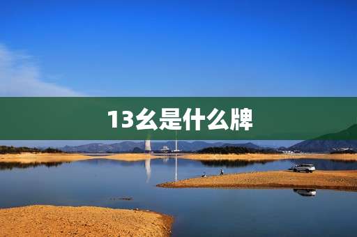 13幺是什么牌 13幺是什么牌